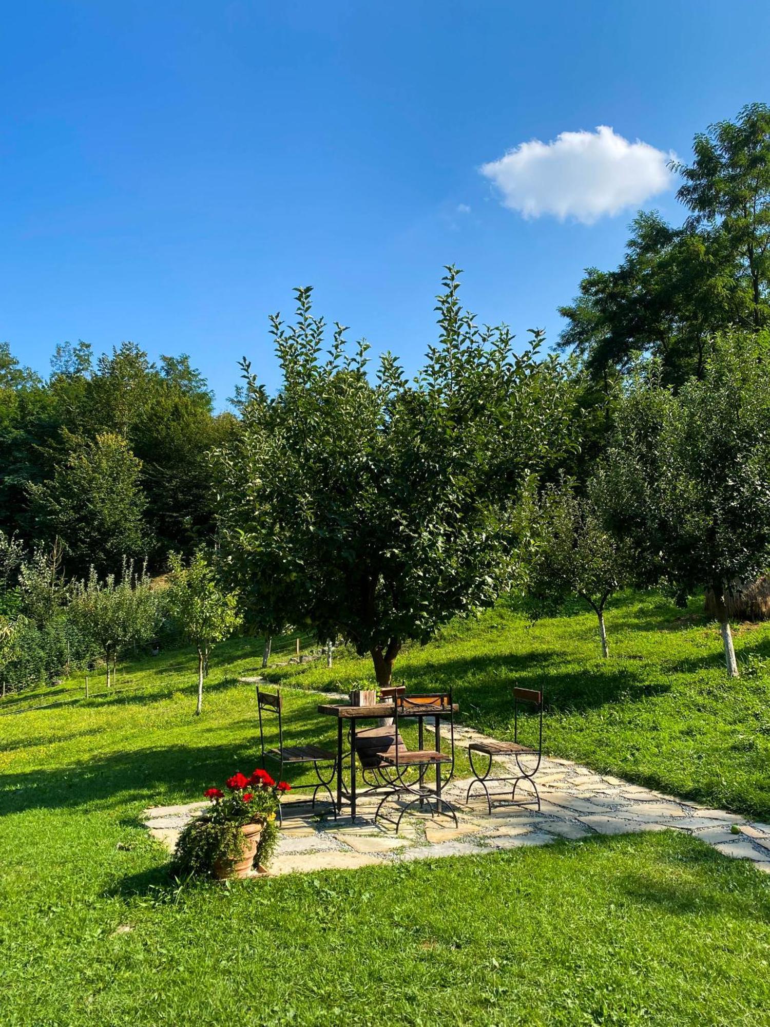 Cabana La Domnu' De Pe Vale Villa Aiud Esterno foto